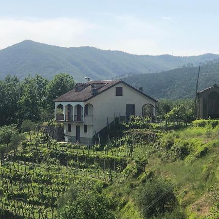 Villa Elena Mezzanego ภายนอก รูปภาพ
