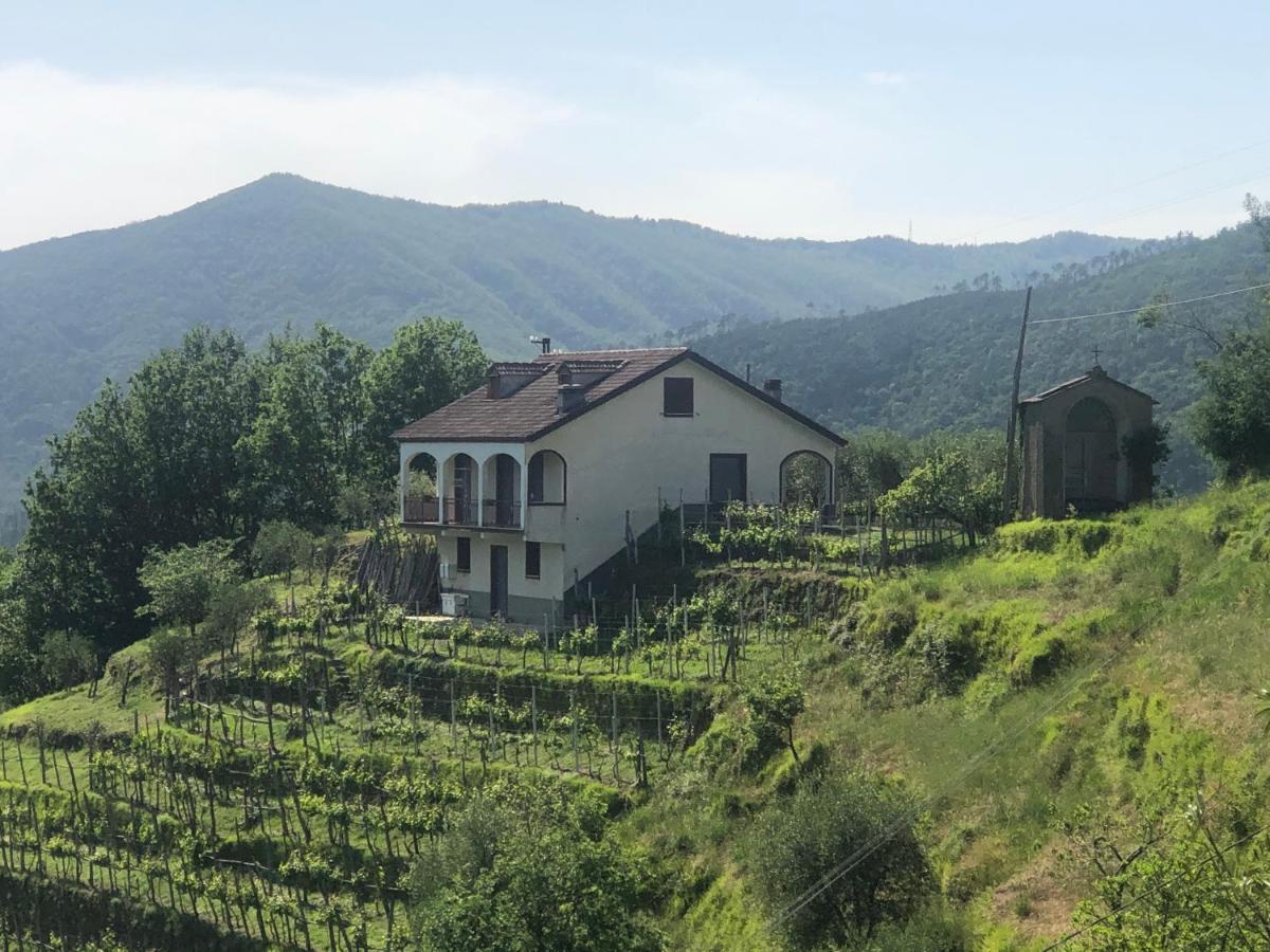 Villa Elena Mezzanego ภายนอก รูปภาพ