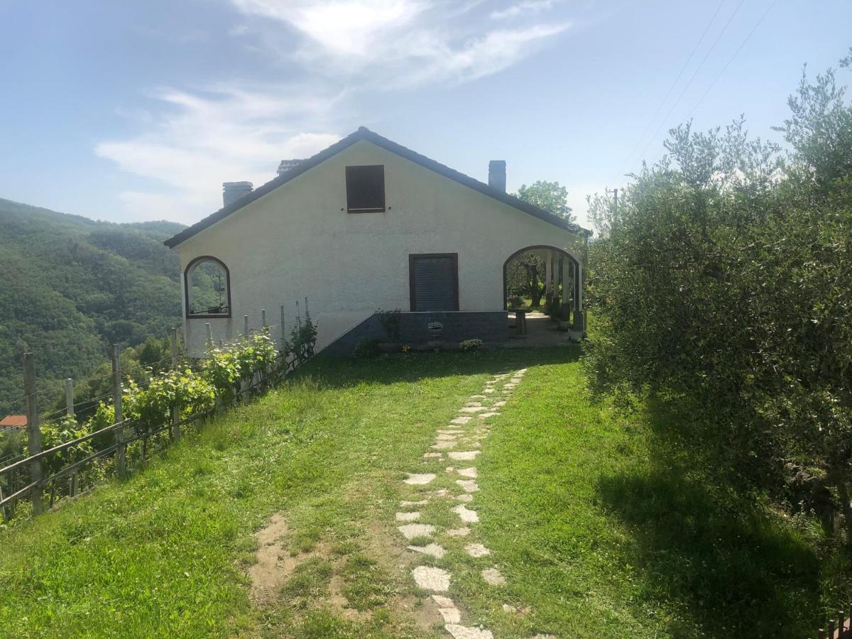 Villa Elena Mezzanego ภายนอก รูปภาพ
