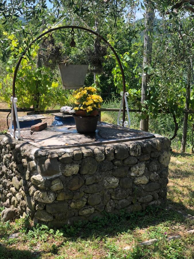 Villa Elena Mezzanego ภายนอก รูปภาพ