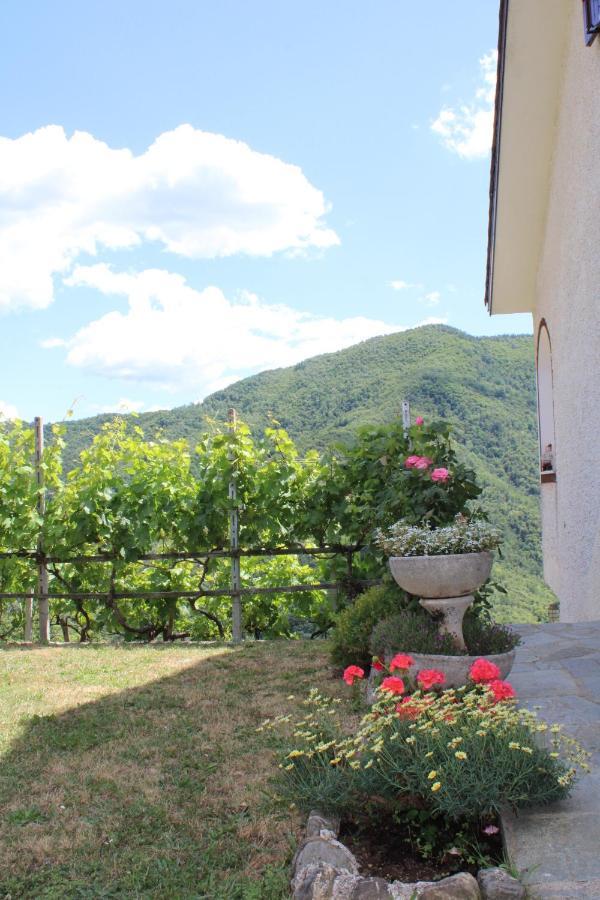 Villa Elena Mezzanego ภายนอก รูปภาพ