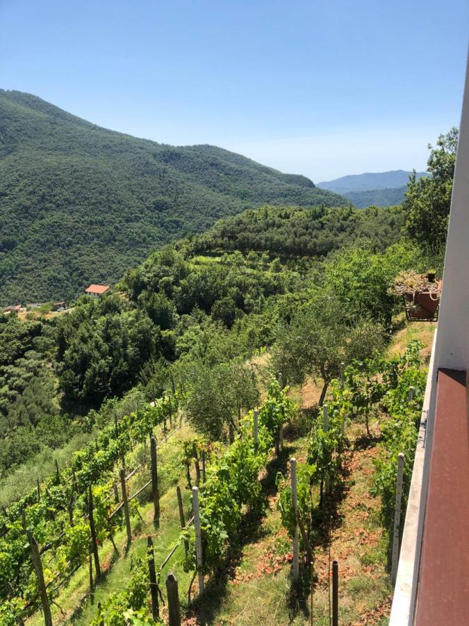 Villa Elena Mezzanego ภายนอก รูปภาพ
