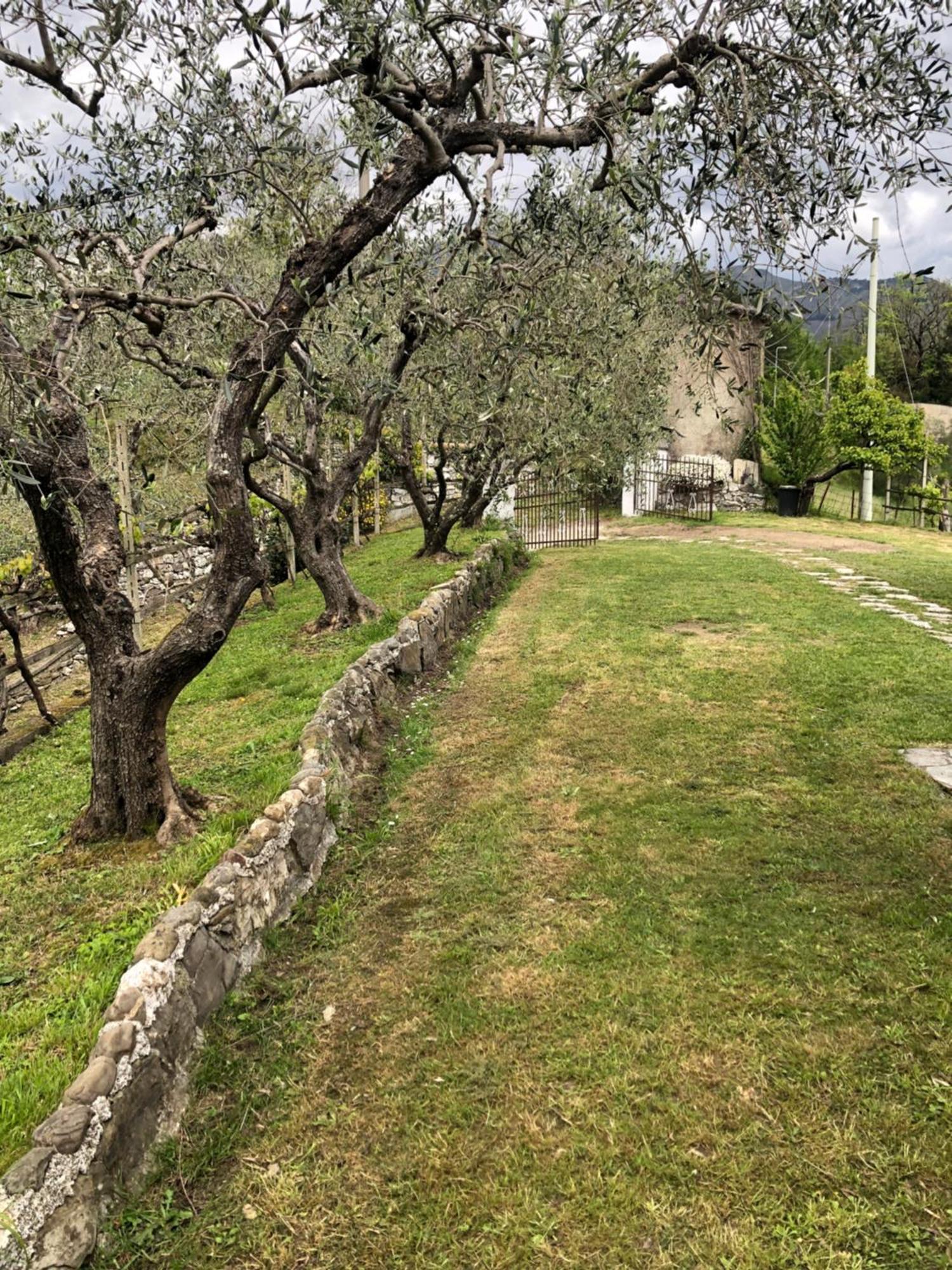 Villa Elena Mezzanego ภายนอก รูปภาพ